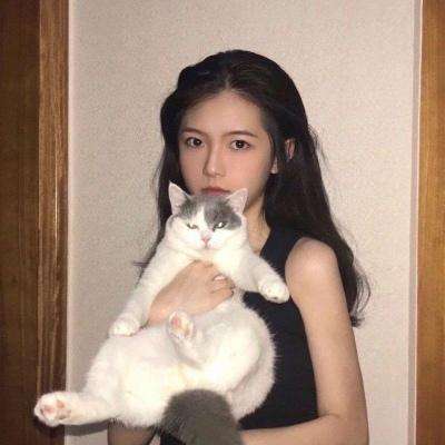 炸弹投石机破解版下载